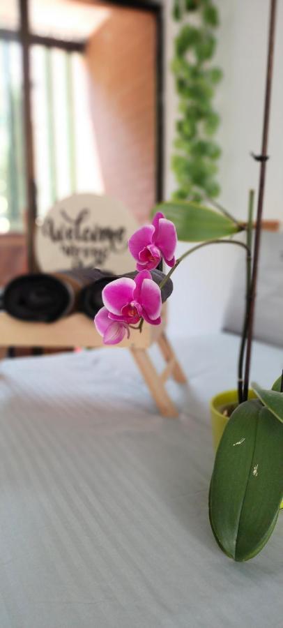 Appartamento Moradia Laureles Medellín Esterno foto